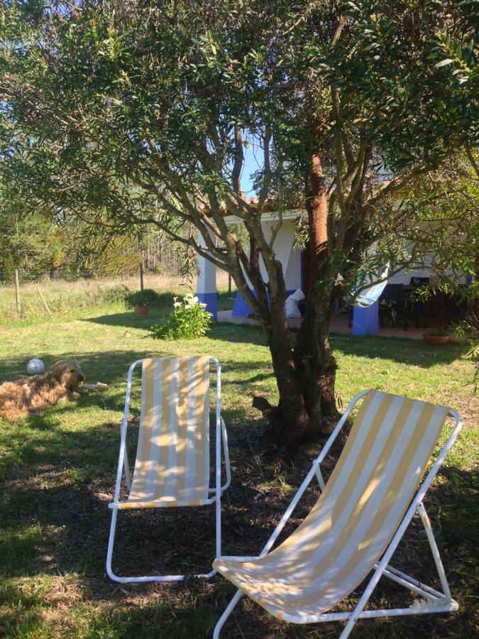 Bed and Breakfast Quintinha Mojud Rogil Esterno foto